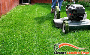 lawn-mowing-services-camden-town