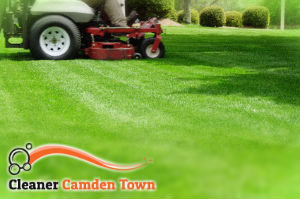 grass-cutting-camden-town