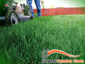 grass-cutting-services-camden-town